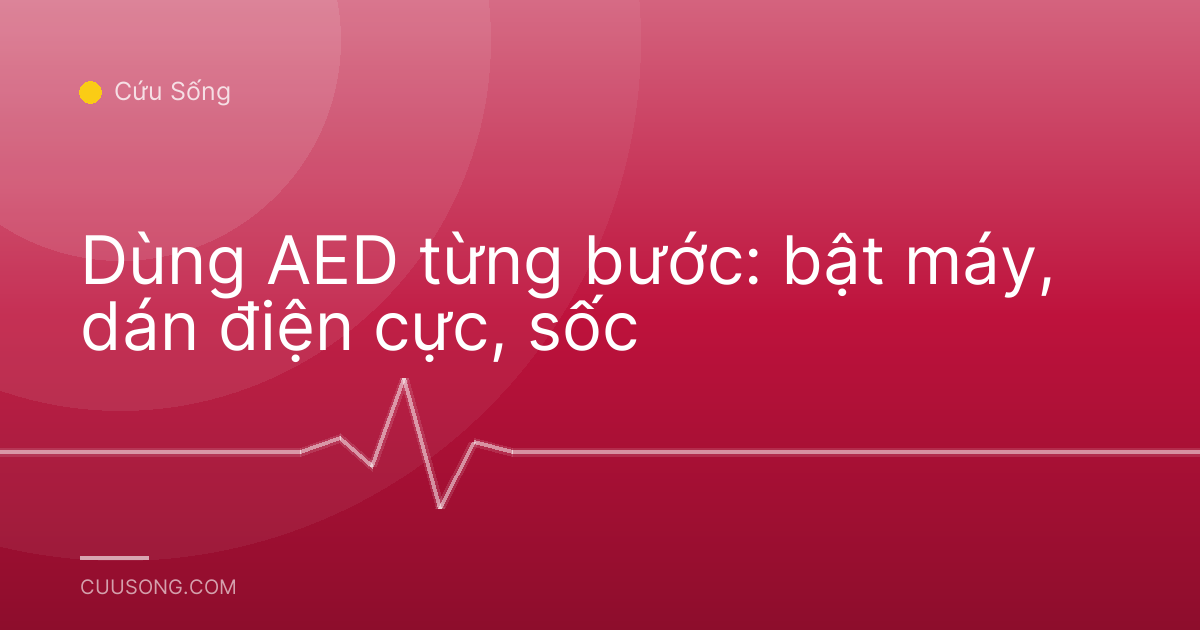 Dùng AED từng bước: bật máy, dán điện cực, sốc