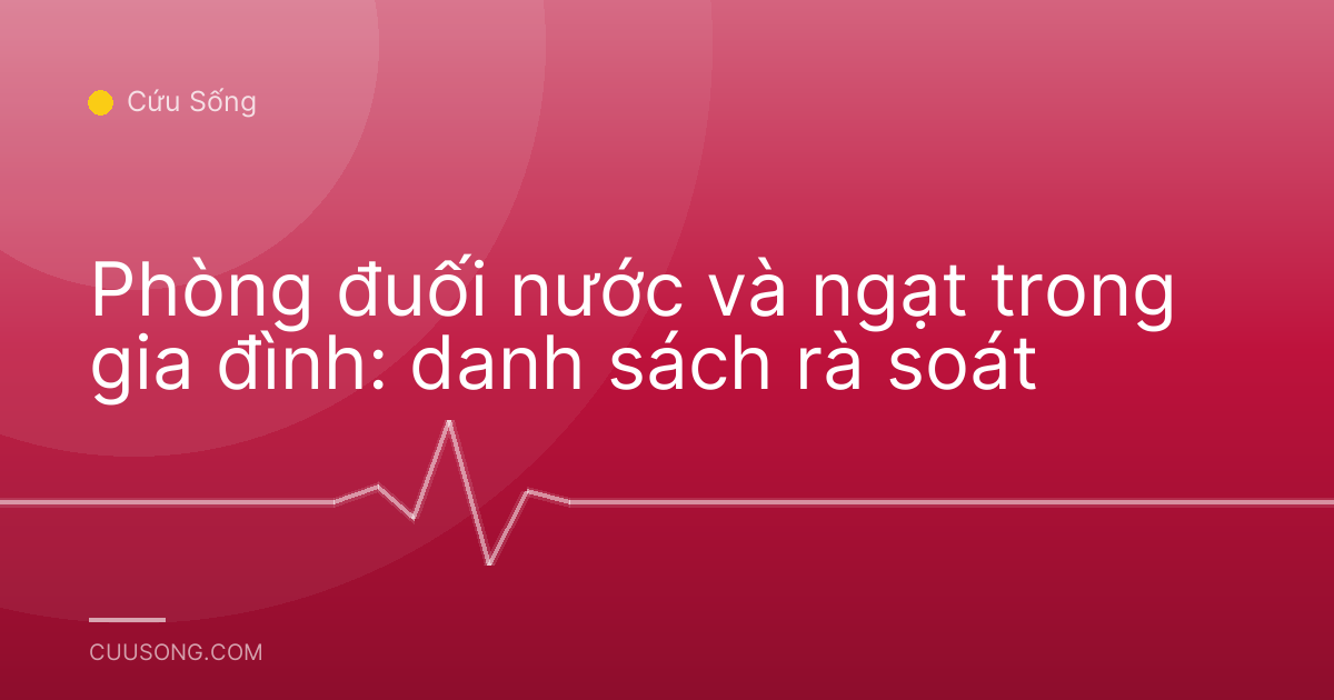 Phòng đuối nước và ngạt trong gia đình: danh sách rà soát